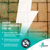 REINHELDEN® Grünbelagentferner REIN-Konzentrat 1000ml Intensiv zum Entfernen von Algen, Grünbelag, Flechten & Grünspan