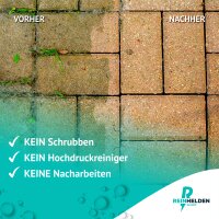 REINHELDEN® Grünbelagentferner REIN-Konzentrat 1000ml Intensiv zum Entfernen von Algen, Grünbelag, Flechten & Grünspan